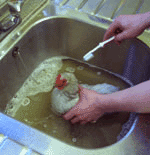 washing a chicken