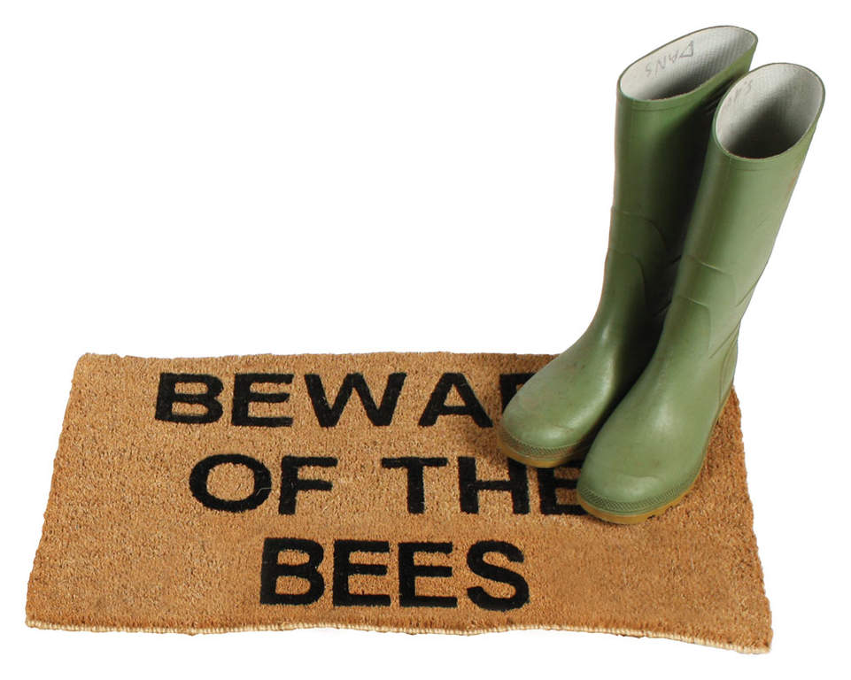 My Dog Stepped On A Bee En Francais Beware of the Bees Doormat | Reduced Miscellaneous | Reduced Items | Omlet
