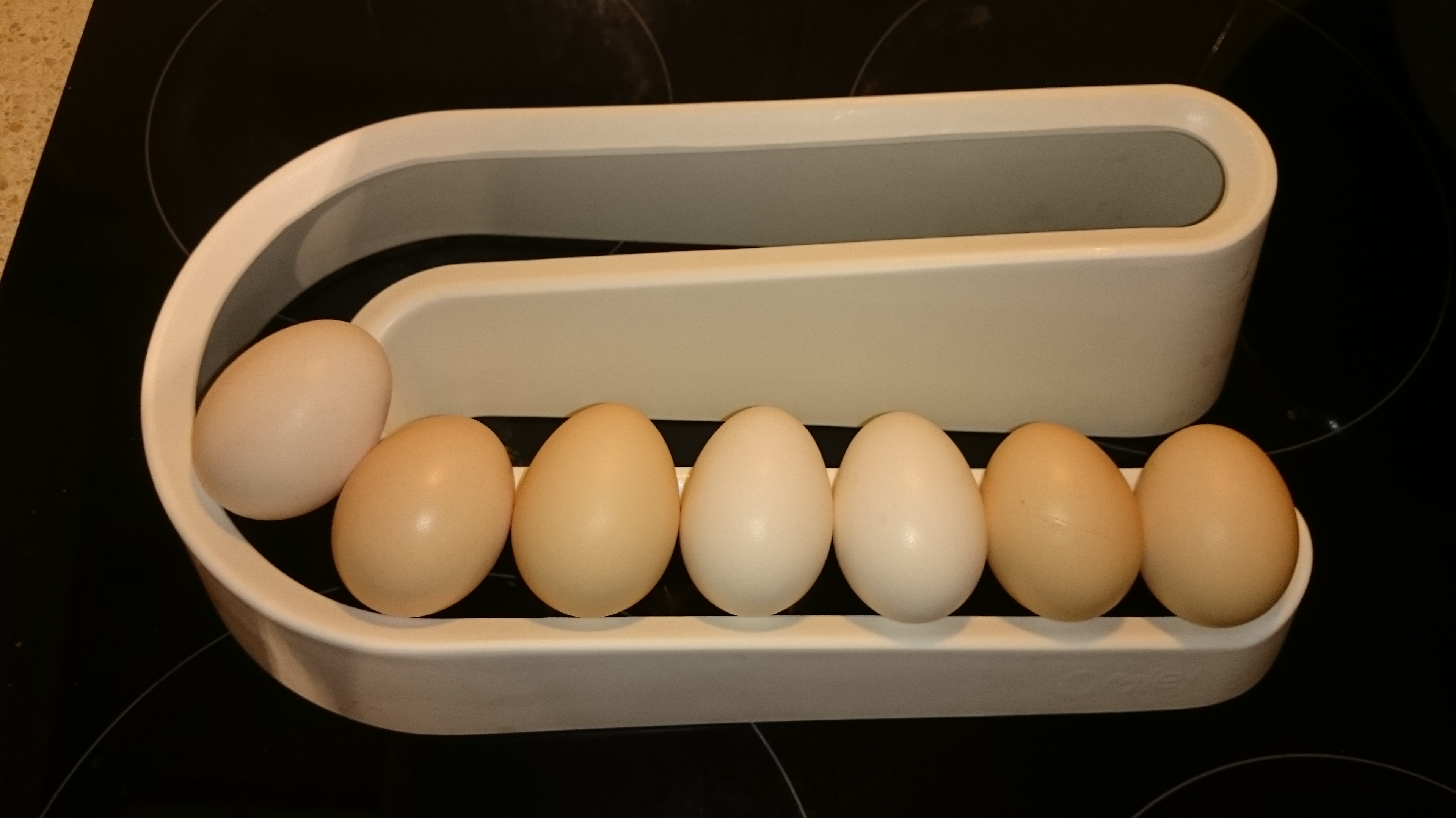 Egg Ramp Plastic Egg Holder for Storing a Dozen Eggs