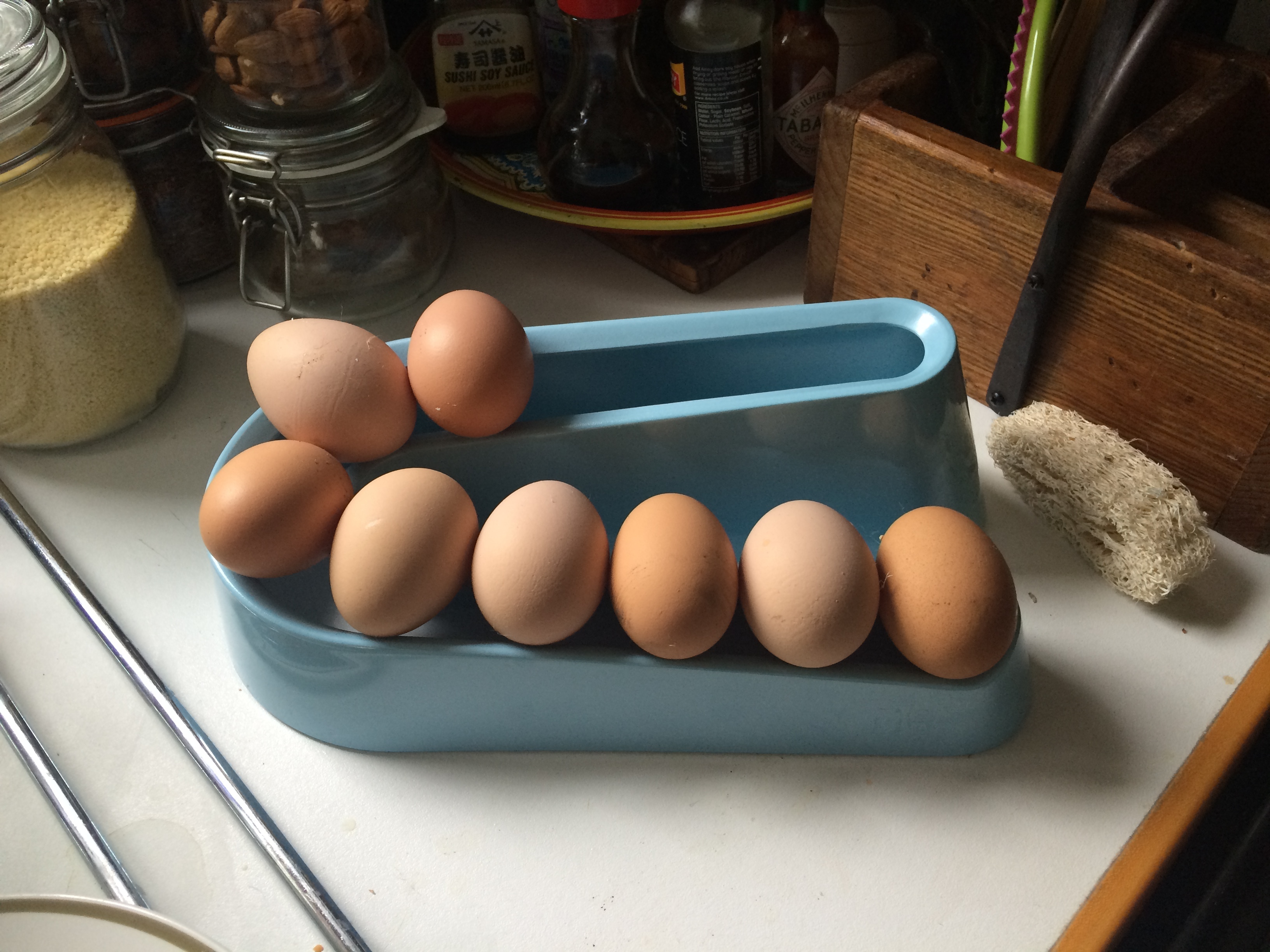 Egg Ramp Plastic Egg Holder for Storing a Dozen Eggs