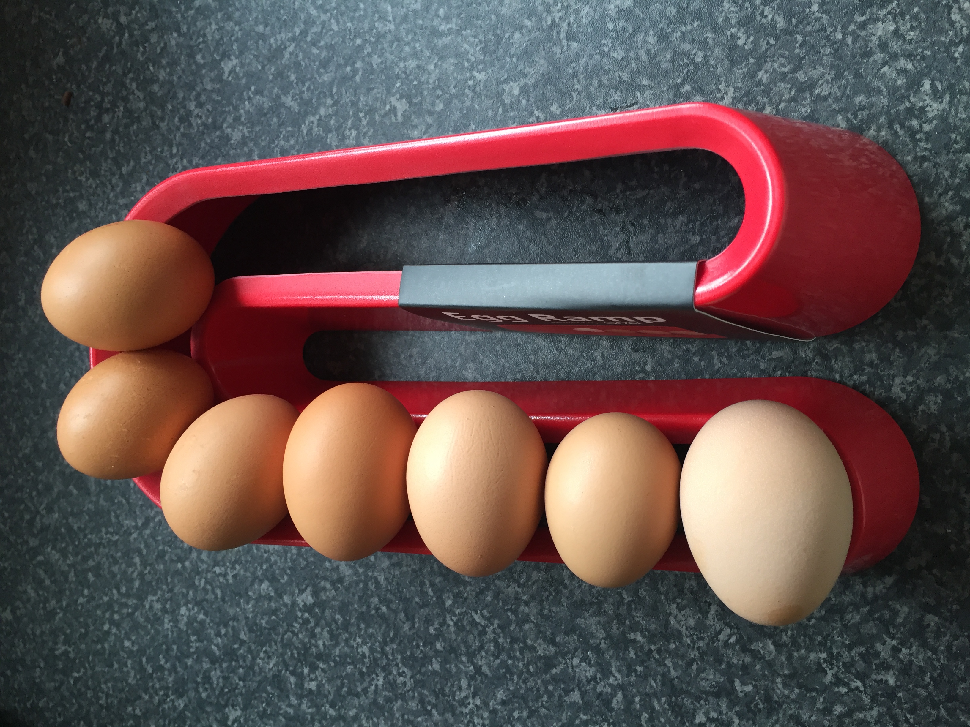 Egg Ramp Plastic Egg Holder for Storing a Dozen Eggs