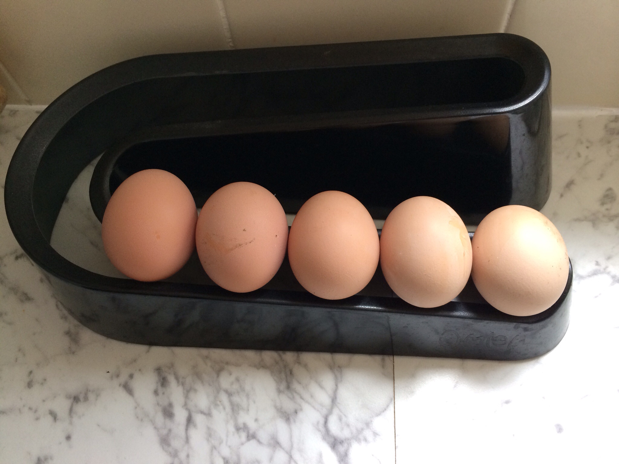 Egg Ramp Plastic Egg Holder for Storing a Dozen Eggs