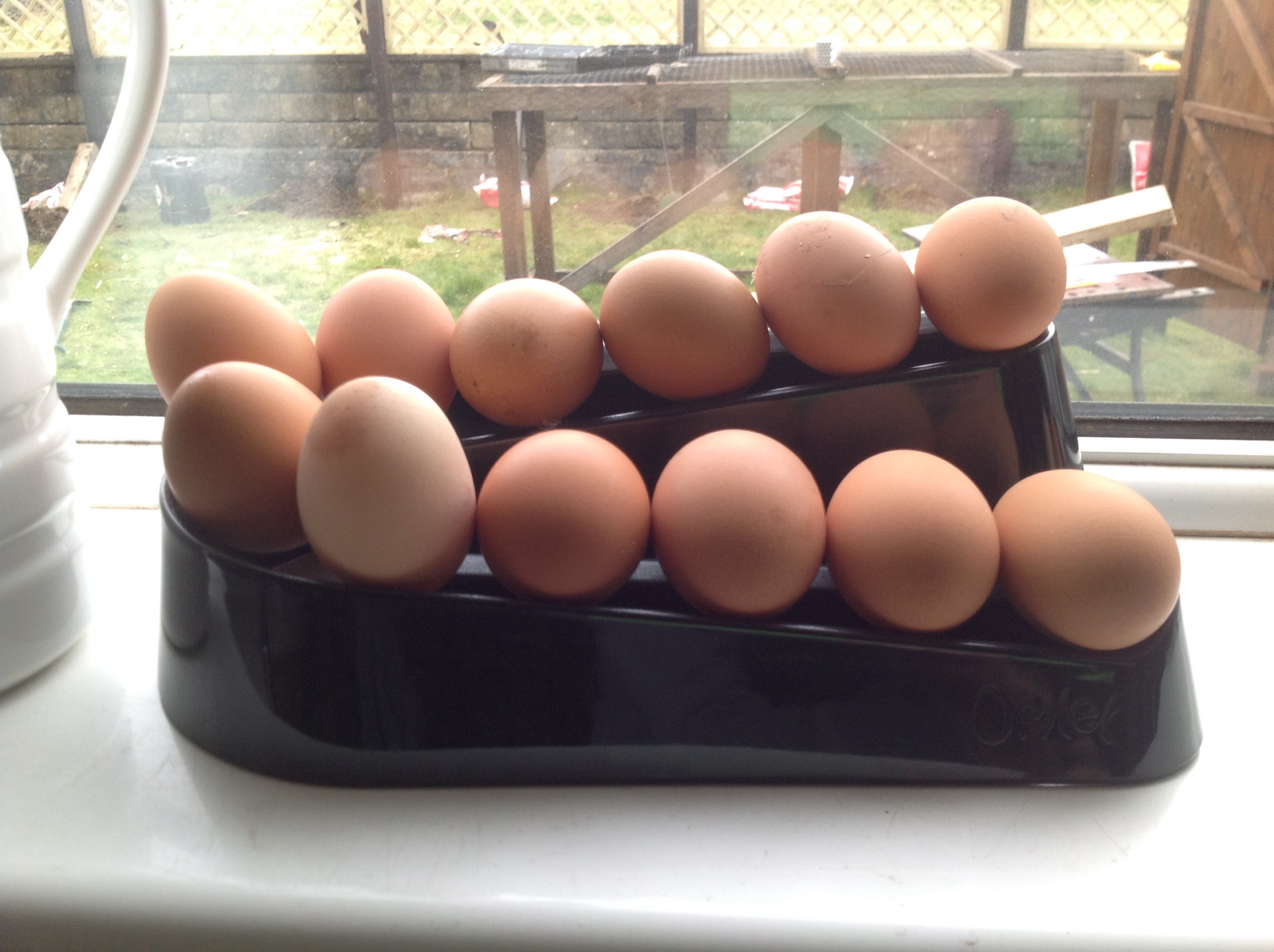 Egg Ramp Plastic Egg Holder for Storing a Dozen Eggs