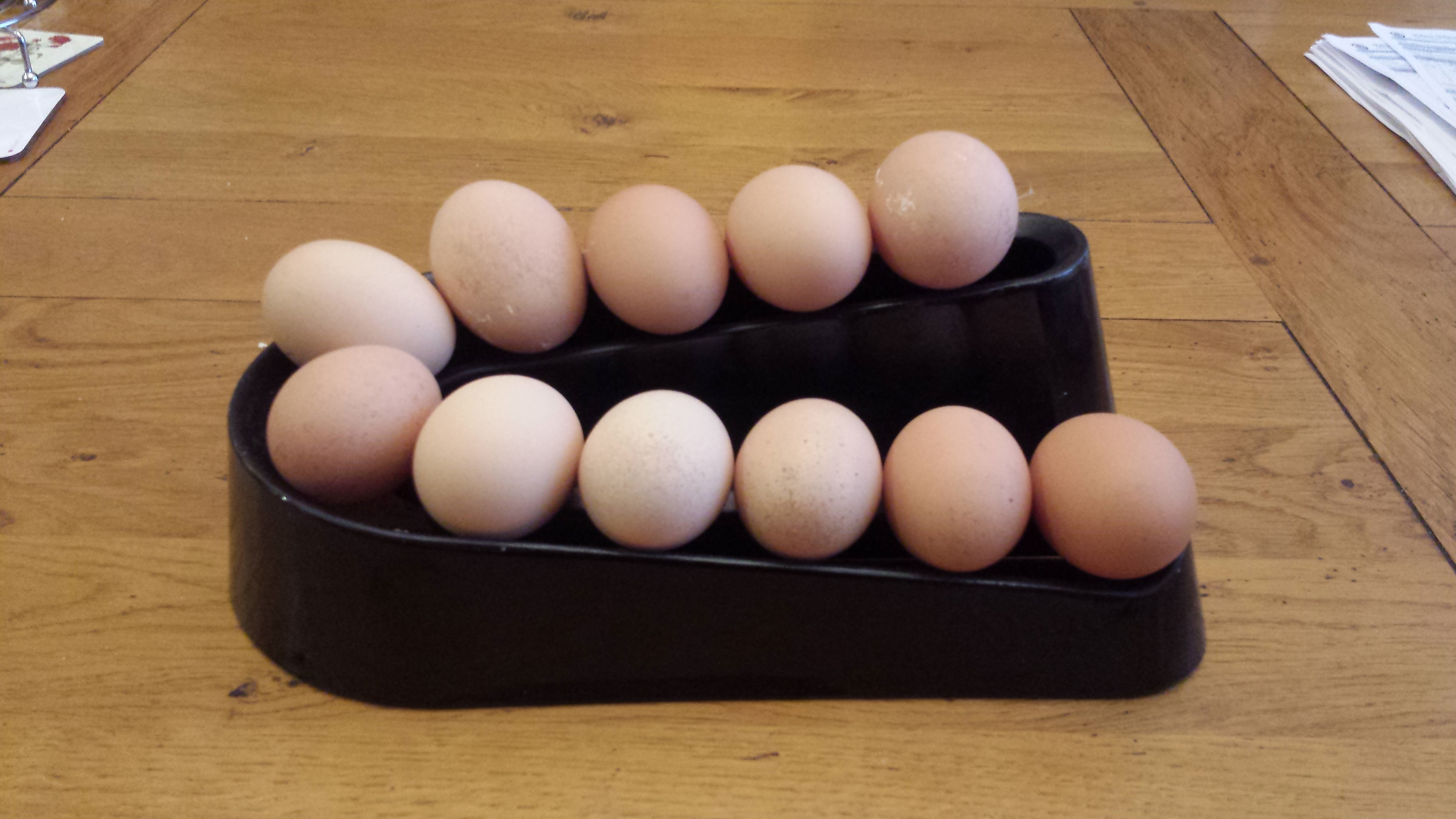 Egg Ramp Plastic Egg Holder for Storing a Dozen Eggs