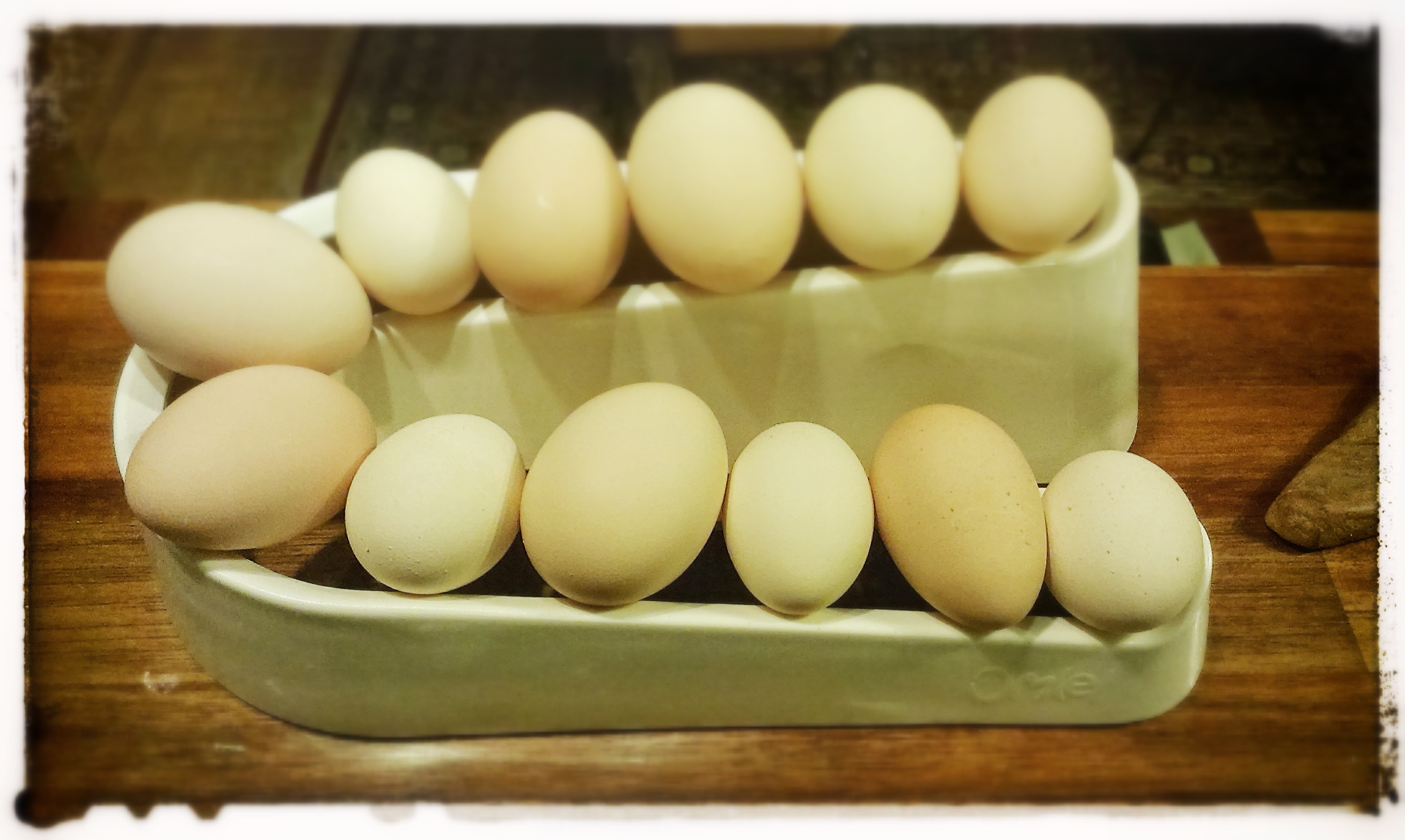 Egg Ramp Plastic Egg Holder for Storing a Dozen Eggs