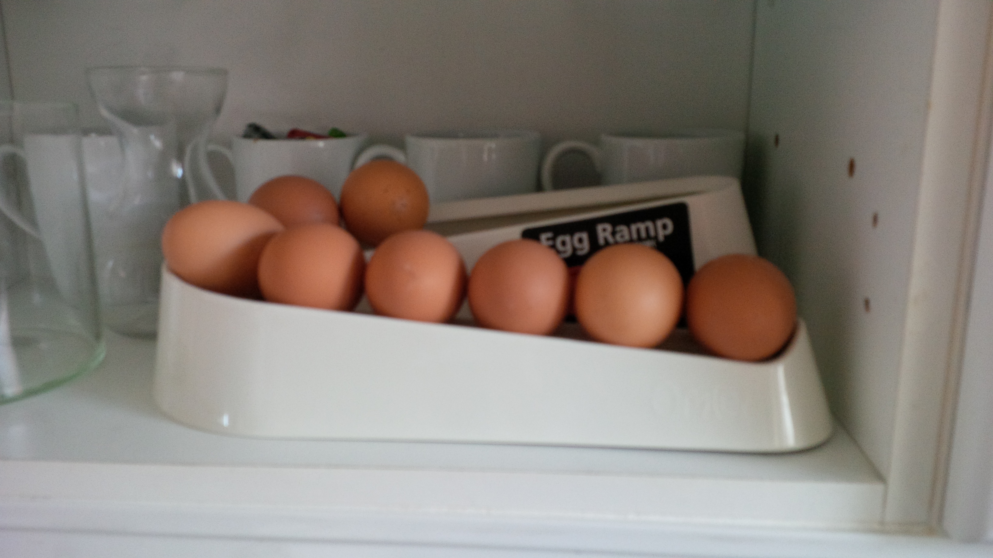 Egg Ramp Plastic Egg Holder for Storing a Dozen Eggs