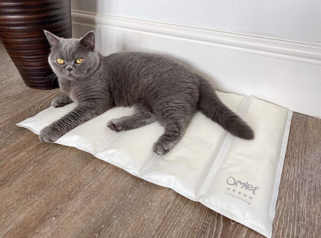 cold mat for cats