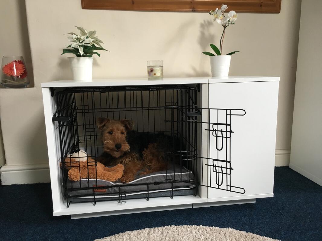 Fido Nook 2-in-1 Luxury Dog Bed 