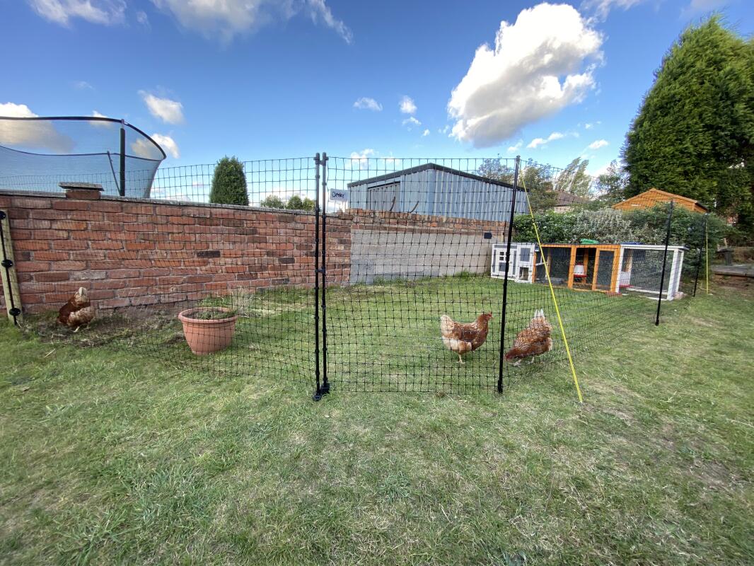 Omlet Chicken Fencing | Poultry Netting For Chickens