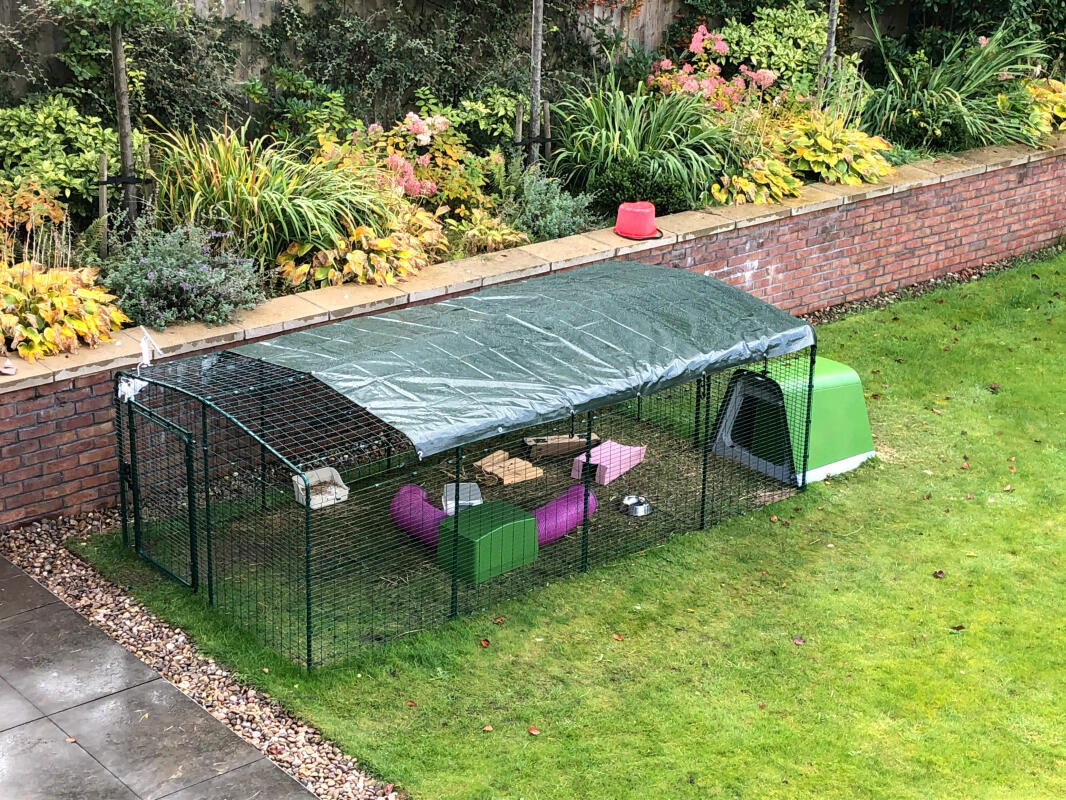 Outdoor Rabbit Run | Large Outdoor Rabbit Enclosure