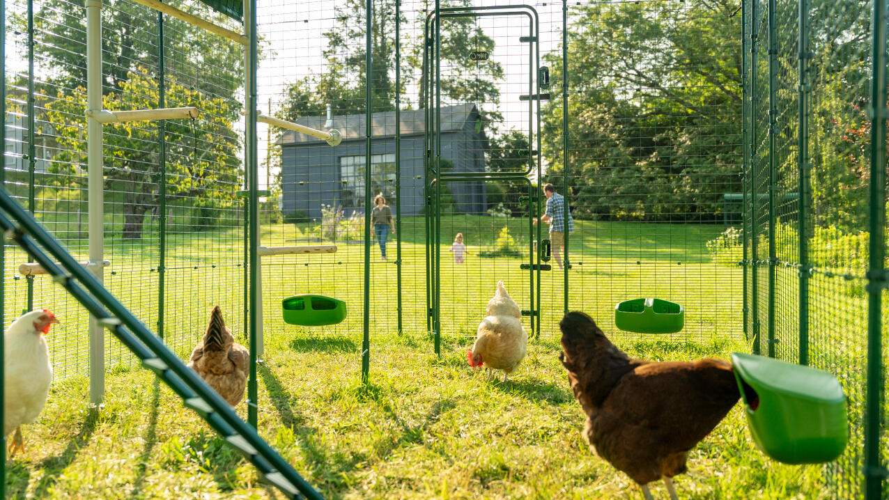Omlet Chicken Fencing, Poultry Netting for Chickens