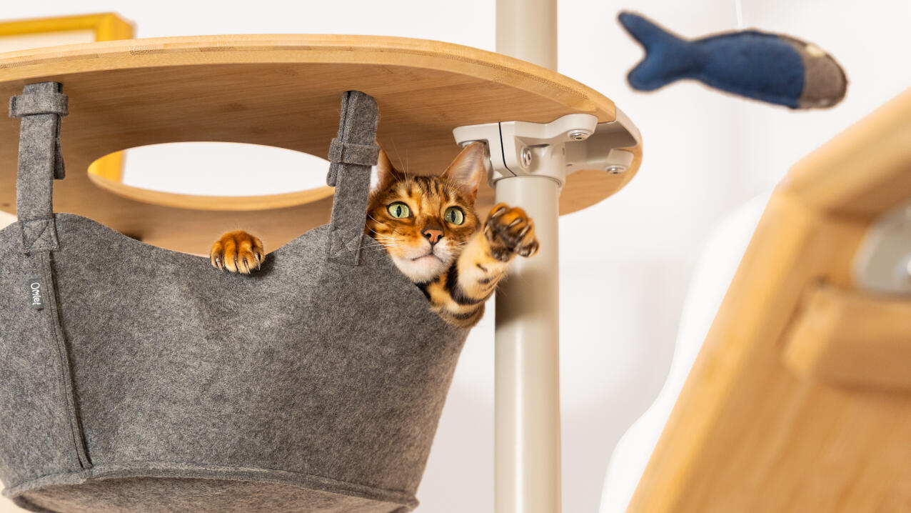 Gimnasio Freestyle - Gimnasio para gatos personalizable, del suelo al techo