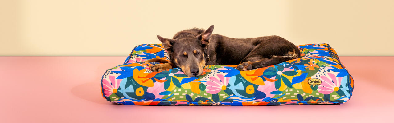 Dog resting in a cushion dog bed