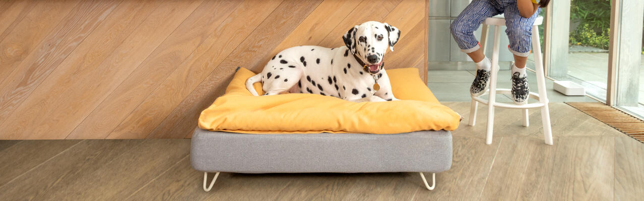 Topology toppers dog bed sale