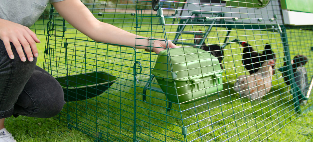 woman attaching green feeder to the inside of a run