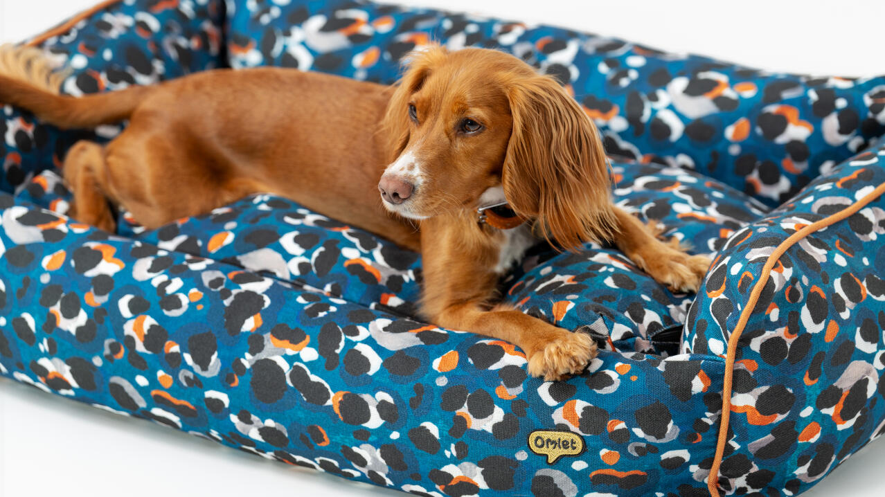 detail of spaniel stretching out in a comfortable easy to clean nest bed