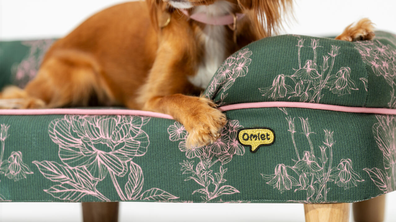 detail of easy to clean bolster dog bed in winter garden print