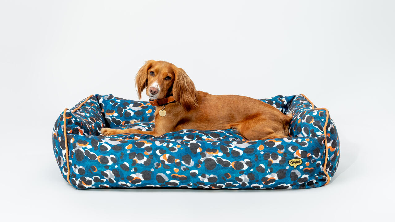 spaniel stretching out in a comfortable easy to clean nest bed