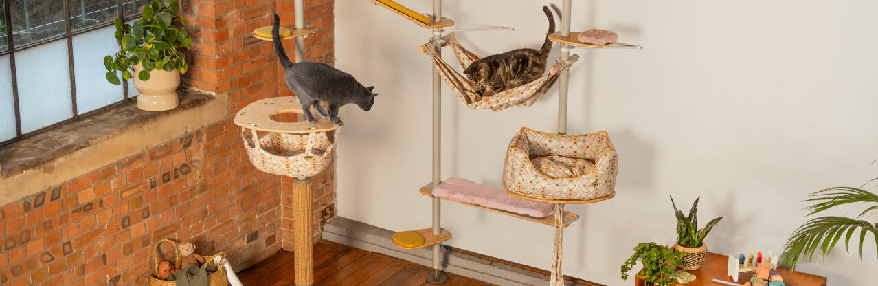 Cats playing in the Omlet indoor cat tree