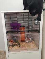 hamster cages cat proof