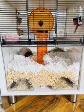 cage hamster omlet