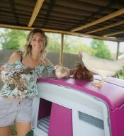 Two chickens on a pink chicken coop, another one is held by her owner