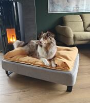 Shepherd dog sat on large Topology Dog Bed with Yellow Beanbag Topper and Black Rail feet, next to fireplace.