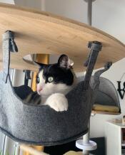 Black and white cat sat inside Freestyle Indoor Cat Tree hammock, with paw resting over the edge.