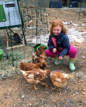 A girl spending time with her chickens next to the Eglu cube chicken coop.