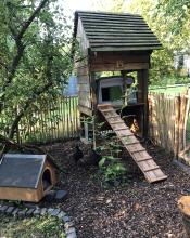 An Eglu Cube hidden inside a tree house.