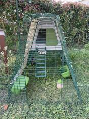 The green Eglu Go Up chicken coop set up in a garden.