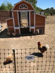 The grey Automatic Chicken Coop door attached to a wooden hen house.