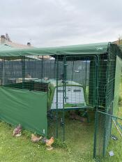 The green heavy duty cover attached to a chicken walk in run.