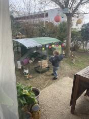 A child looking at rabbits in the Zippi run.