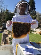 Beekeeper with record book