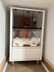 Omlet white qute gerbil best sale and hamster cage with storage