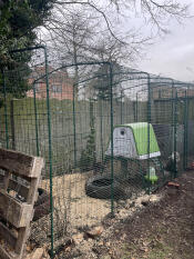 The large Omlet walk in chicken run with a green Eglu Go UP chicken coop inside.