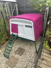 A purple Eglu Cube set up in a garden.