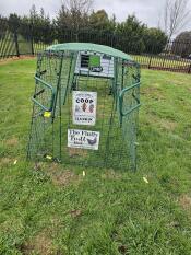 The green Eglu Cube with 4m run set up in a garden.