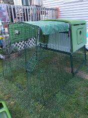 An Eglu Chicken Coop by Omlet.