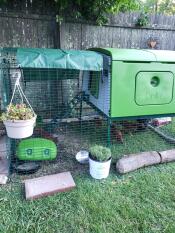 An Eglu Chicken House witha cover on the top.