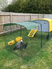 The yellow MK1 Eglu Cube with run set up in a garden.