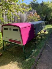 A purple Eglu Cube chicken coop in a garden.