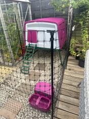 A purple Eglu Cube set up in a garden with chicken fencing around it.