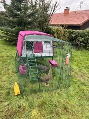 Chickens inside the purple Eglu Cube chicken coop