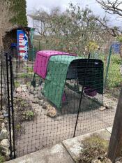 The purple Eglu Cube set up in a garden.