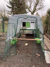 Omlet Eglu Cube chicken coop in a garden.