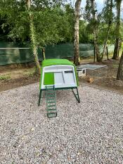 A green Eglu Cube set up in a garden.