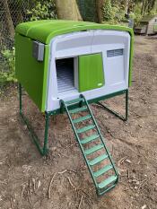 Green Eglu Cube chicken coop by Omlet