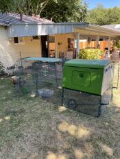 A green chicken coop with a three meter run